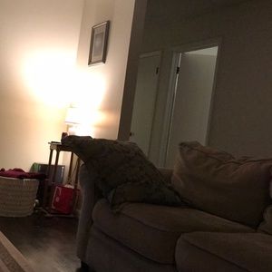 Meet your Posher, David